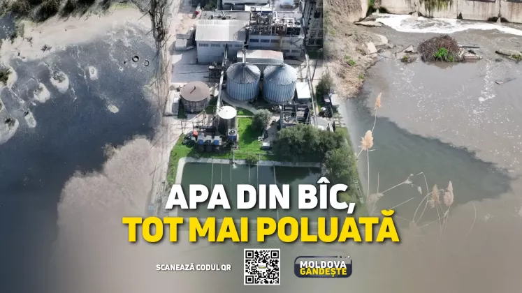 MOLDOVA GANDESTE - 05 10 2024 - COVER reportaj ZERNOFF POLUARE