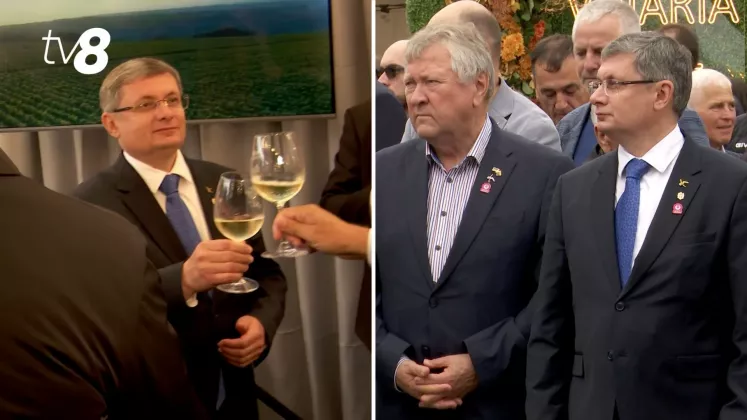 vin oficiali