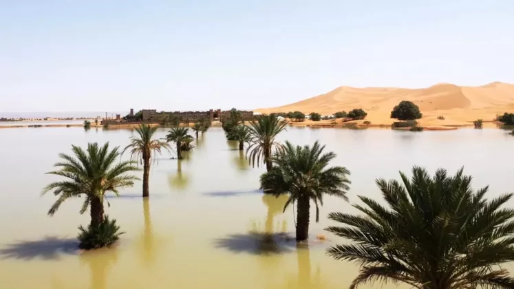 sahara