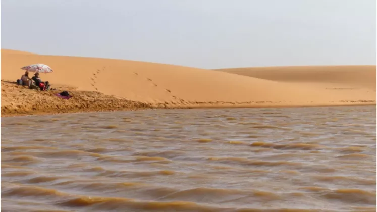 sahara (2)