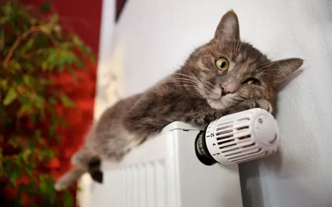 отопление_meteo