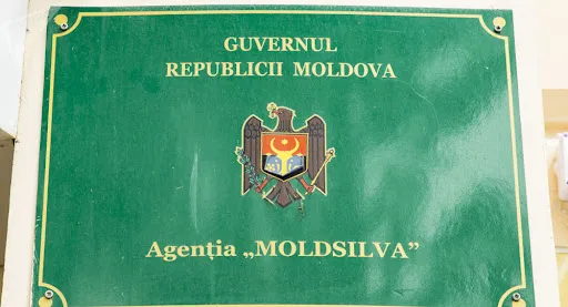 moldsilva