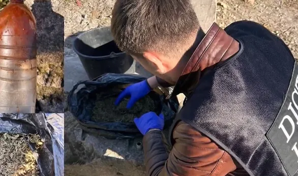 drog