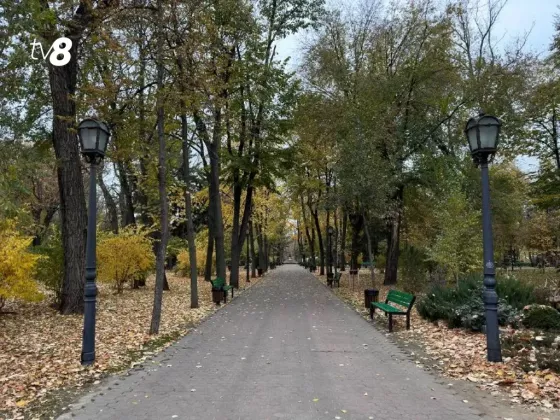 осень