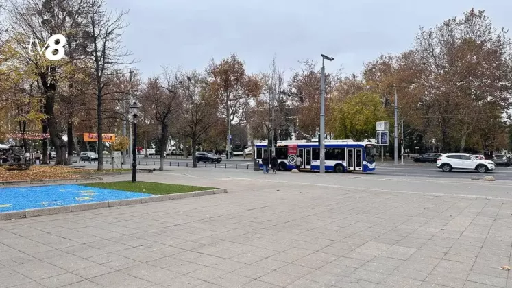 тролик/надя