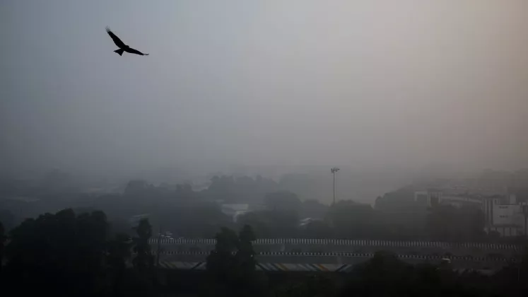 new delhi smog