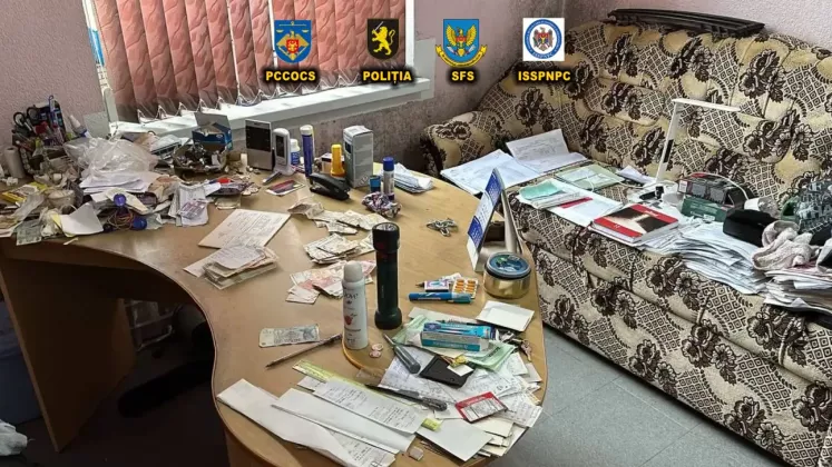percheezitii sud