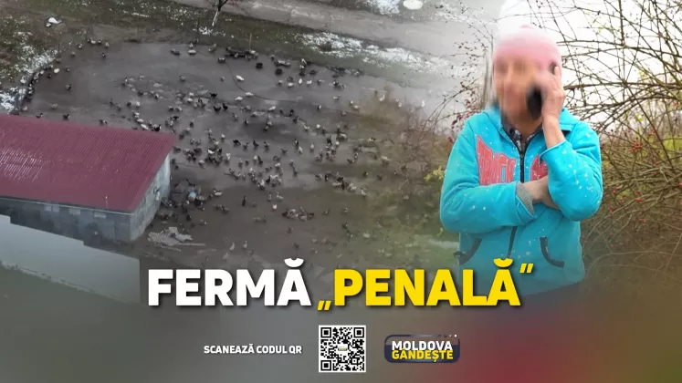 MOLDOVA GANDESTE - 23 11 2024 - COVER reportaj FERMA CIOARA