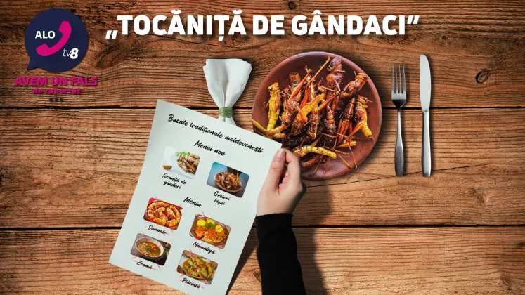 Tocăniță de gândaci