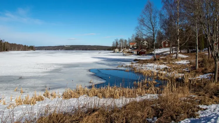 lac inghetat