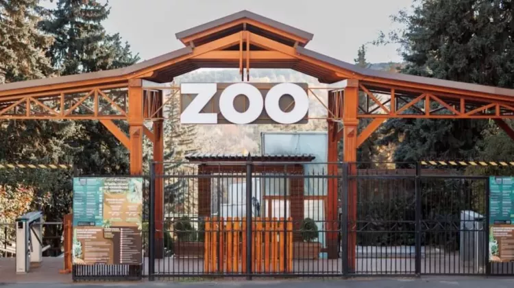 zoo 2024