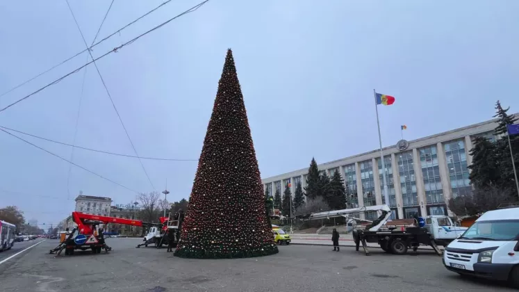 Design fără titlu (33)