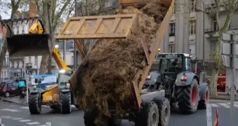 /ВИДЕО/ Во Франции продолжаются протесты аграриев. Фермеры завалили сеном центральные улицы городов 