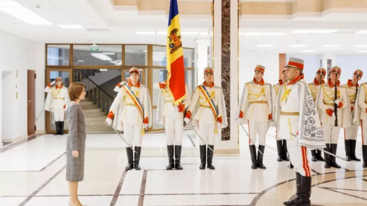 ambasadori
