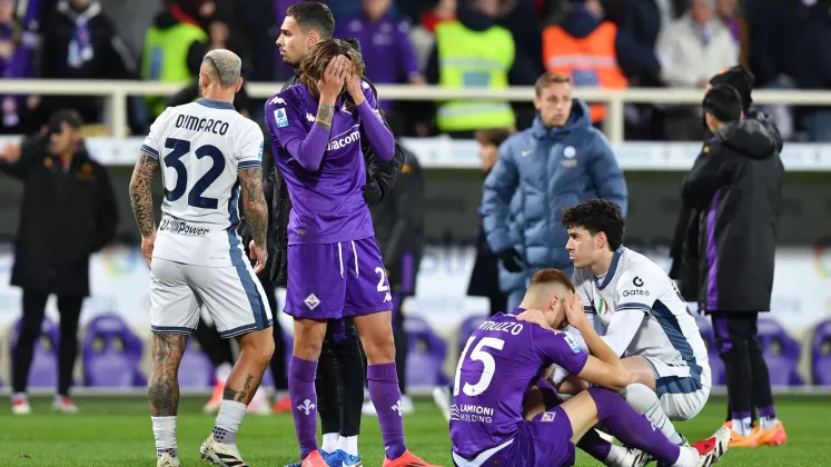 fiorentina bove