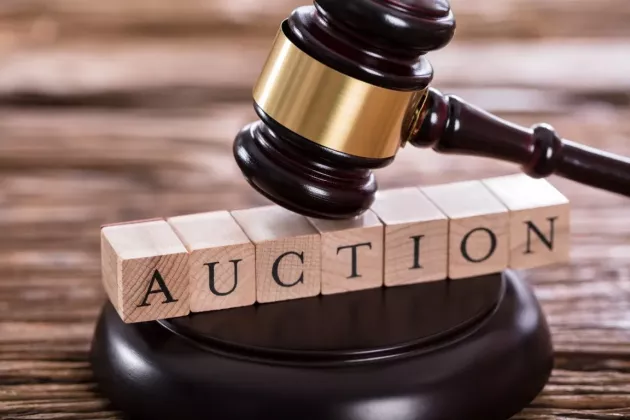 5-Auction-Tips-for-Beginners2