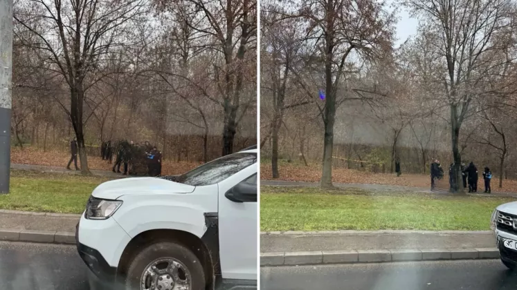 decedat in capitala