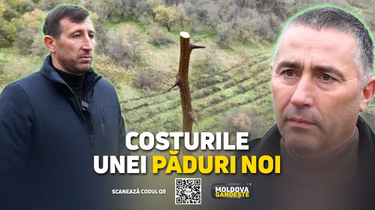 MOLDOVA GANDESTE - 07 12 2024 - COVER reportaj PLANTARI GALESTI