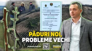 /VIDEO/ „Moldova gândește”: Marea împădurire, doar pe jumătate? De ce pe unele terenuri „pădurile noi” întârzie să apară