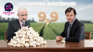 /VIDEO/ O singură virgulă, două realități: Cât usturoi exportă Moldova și de unde a pornit confuzia 