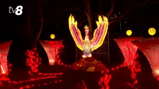 /VIDEO/ Tărâm de poveste, deschis la Moldexpo: Figurine luminoase spectaculoase, show-uri de foc și zone foto magice