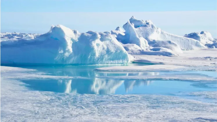 Arctica