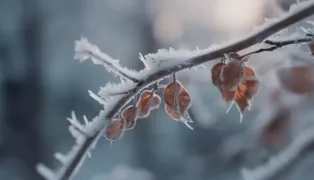 Грядет похолодание. Прогноз погоды на сегодня, 4 января