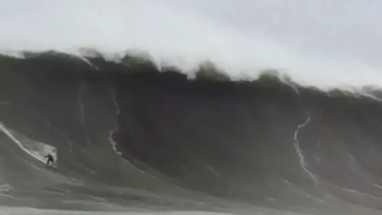 surfer-california