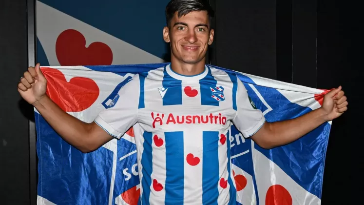 8e40f3f6-b6e1-48a7-9455-63e79c3e4f7f_nicolaescu