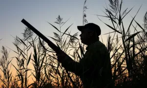 В пригороде Кишинева мужчину застрелили на нелегальной охоте