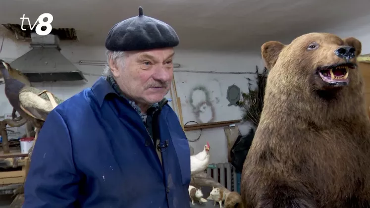 taxidermist muzeu