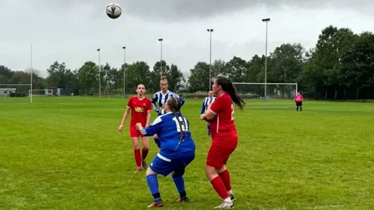 fotbal