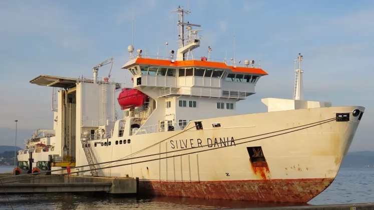 silver dania