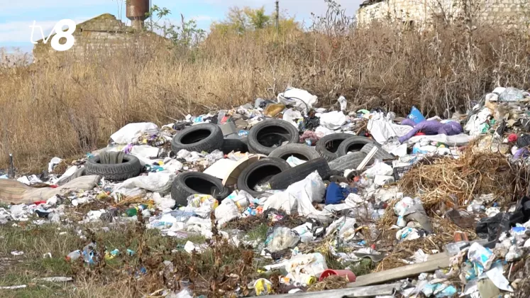 ecologisti voluntari