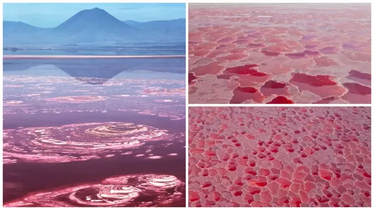 lacul-natron