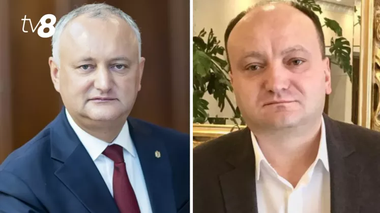 fratii dodon