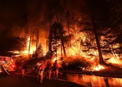 /ВИДЕО/ Лесные пожары в Аргентине: огонь охватил 20 тысяч гектаров земли
