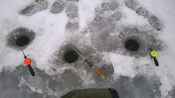 base_winter_fish_4b