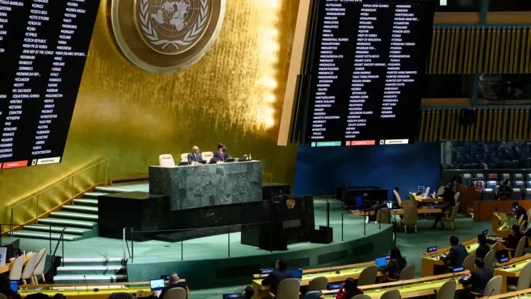 adunarea generala onu
