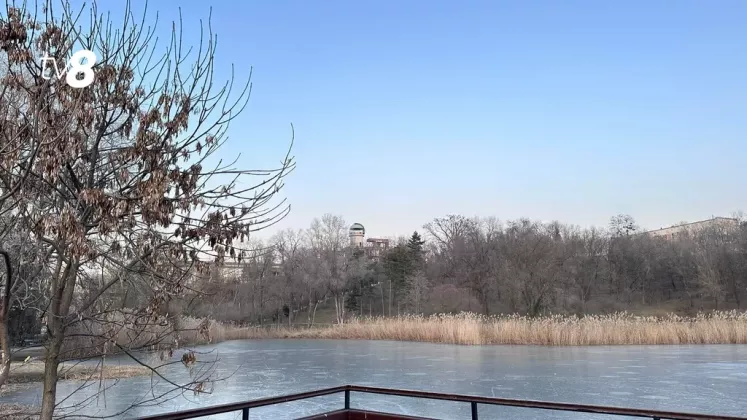 лед