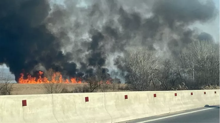 incendiu vatra