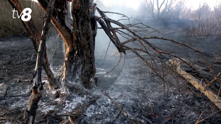 incendiu vatra