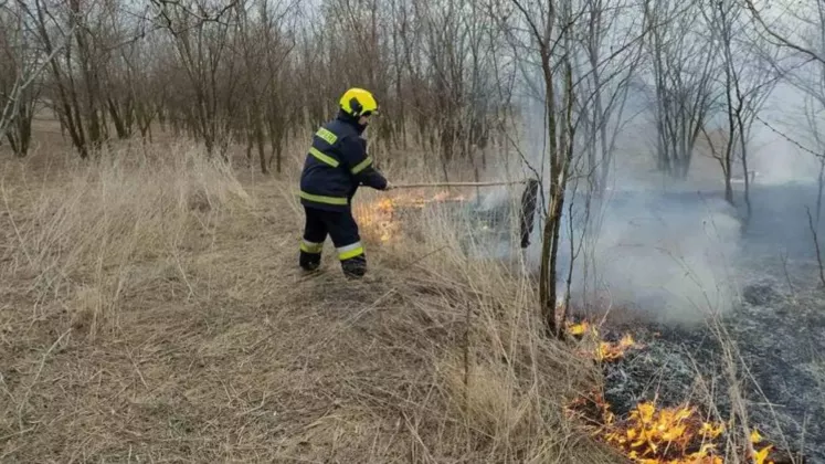incendiu de vegetatie