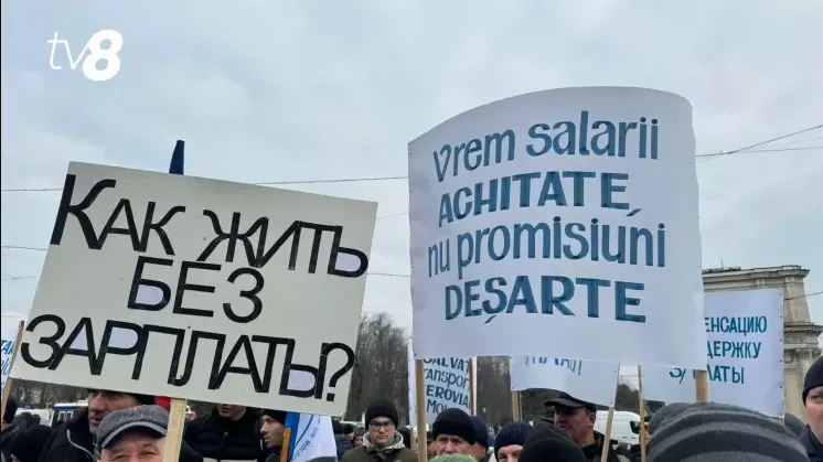 ждм протест 25 февраля 2025