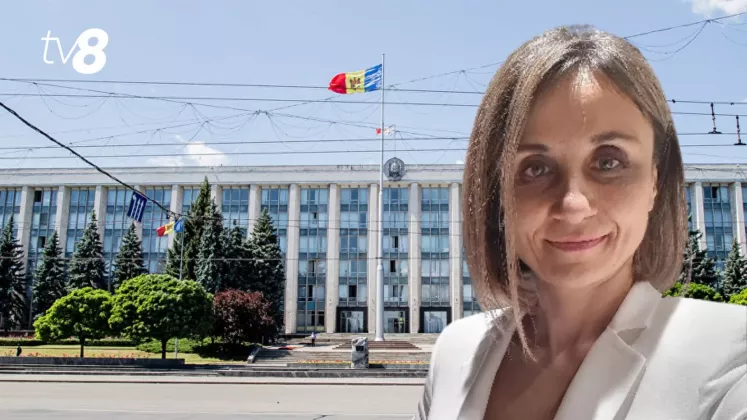 doamna guvern