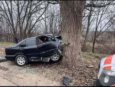 Авария в Сынжере: автомобиль врезался в дерево, водитель погиб на месте