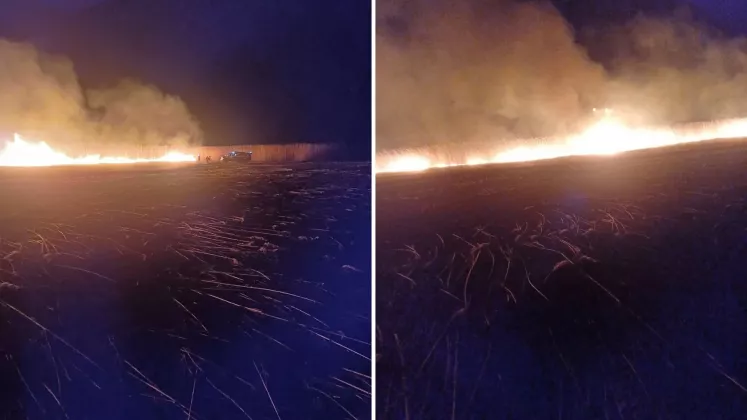 incendiu lunca prutului