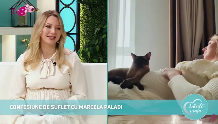 Captură de ecran 2025-03-22 221509