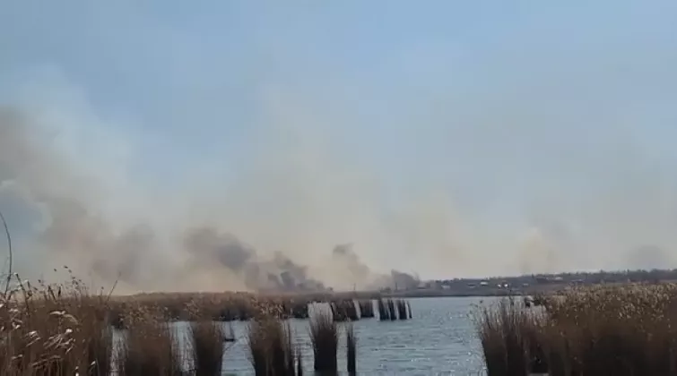 Captură de ecran 2025-03-22 212921