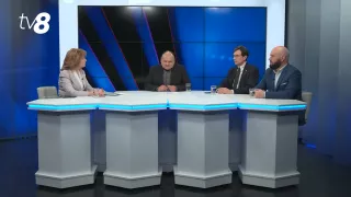 Arina Spătaru dă asigurări că partidul pe care îl conduce nu a primit bani de la Șor: „Totul este transparent”